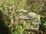 image of grave number 351412